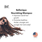 Bellenique Nourishing Shampoo with Swiss Apple Stem Cell Promotes Healthy Hair Grow 250ml Made in USA - BEAUT.